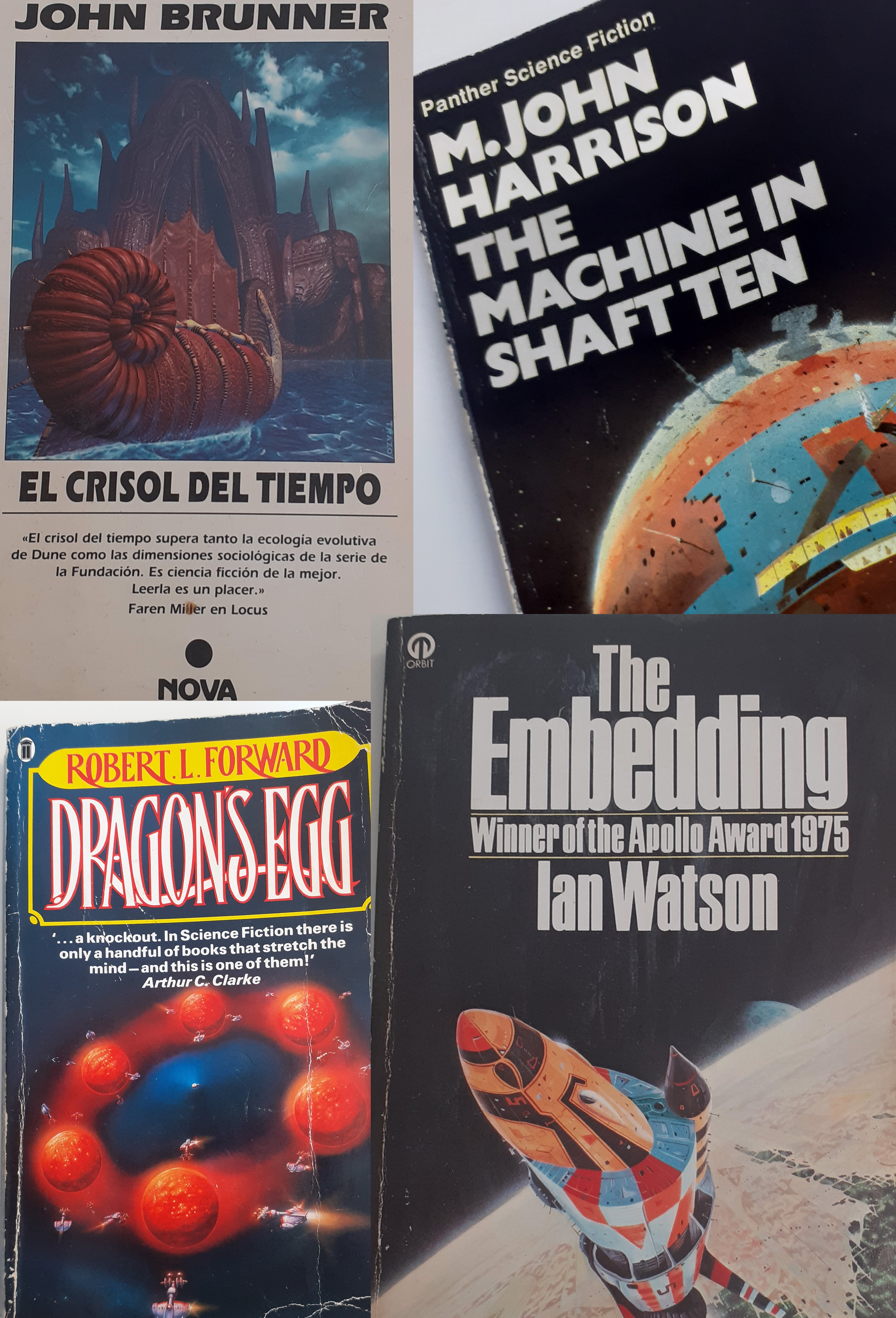 fementido jolly corner sci fishh