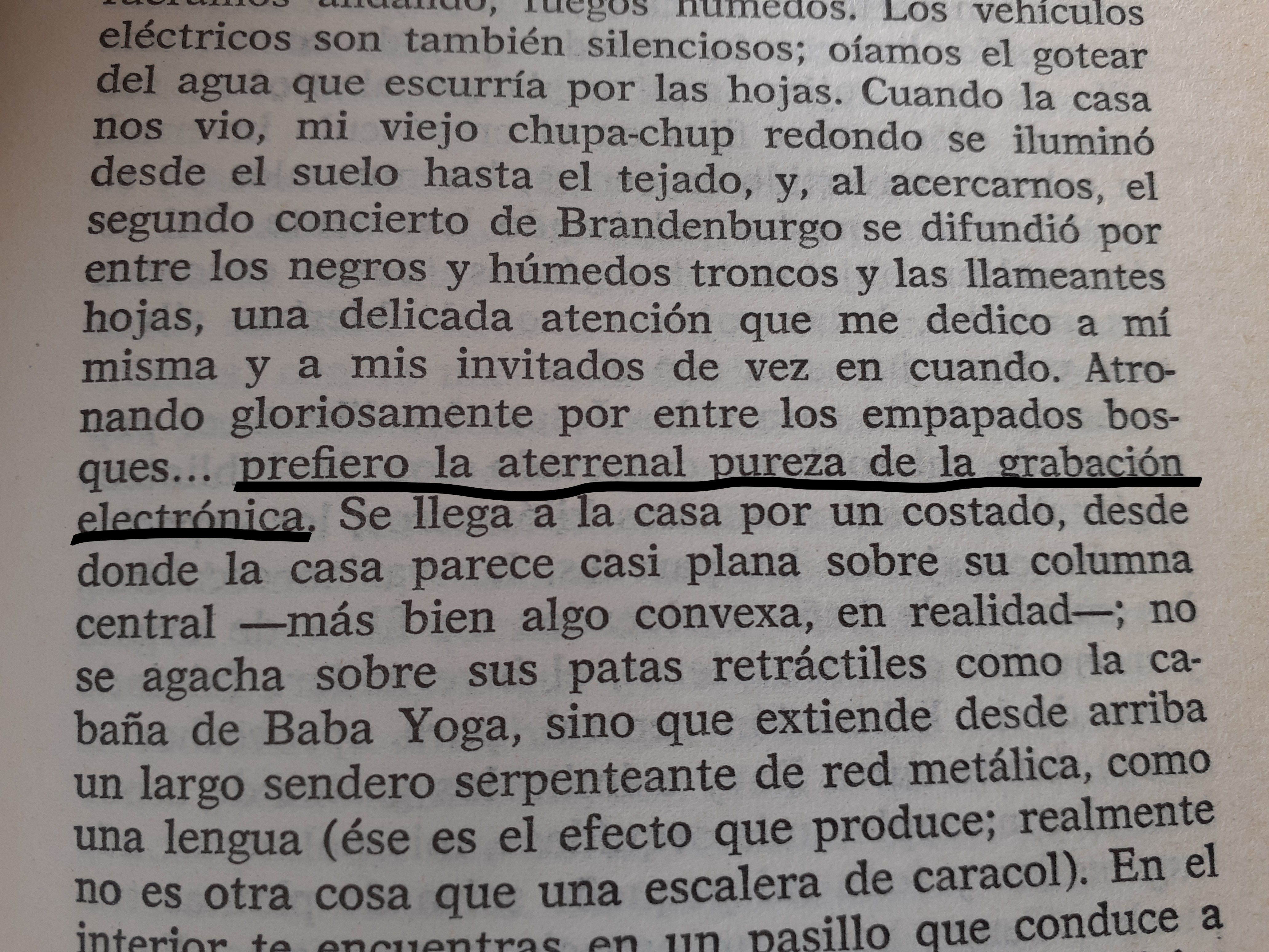 hombre hembra fementido