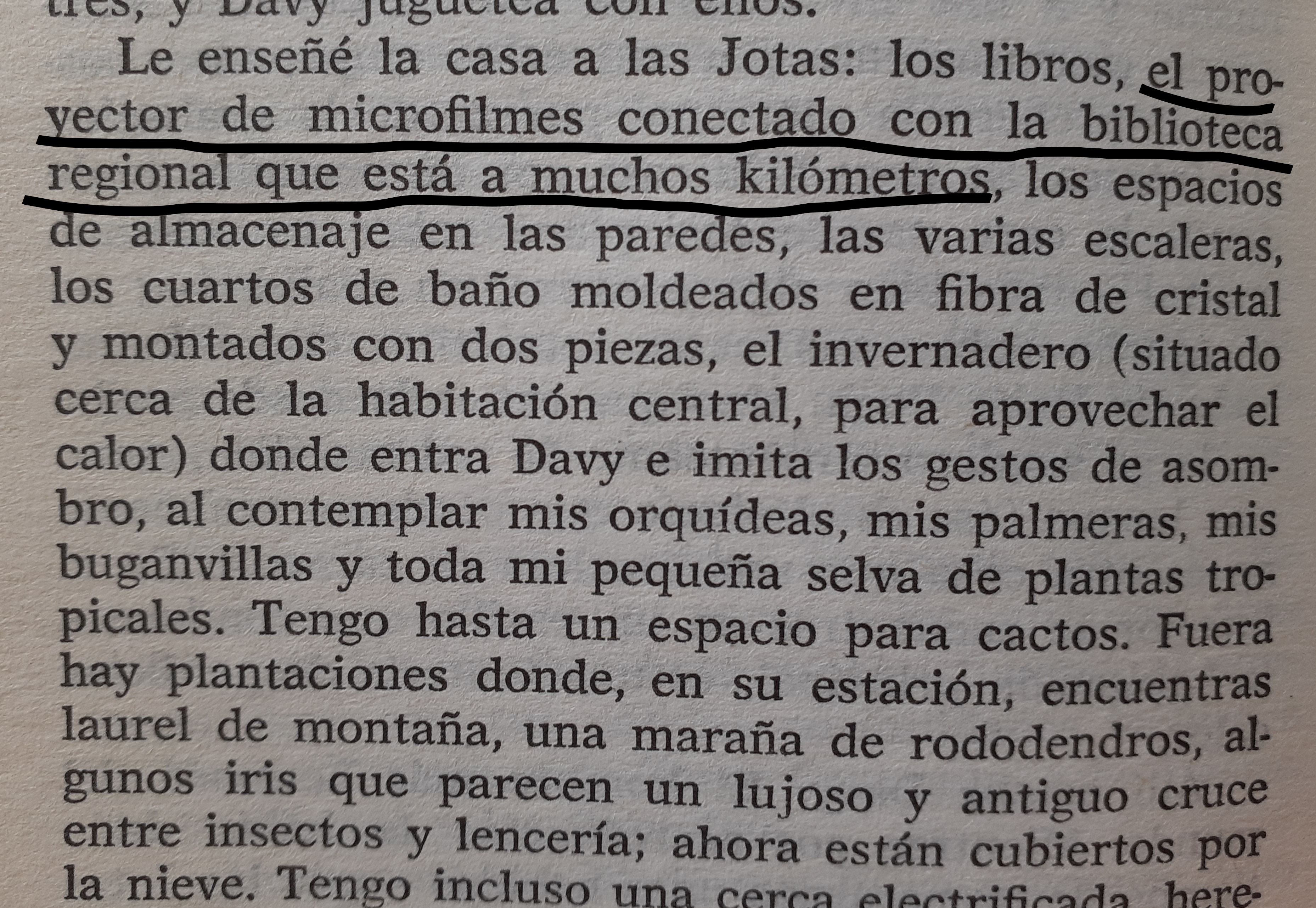 hombre hembra fementido