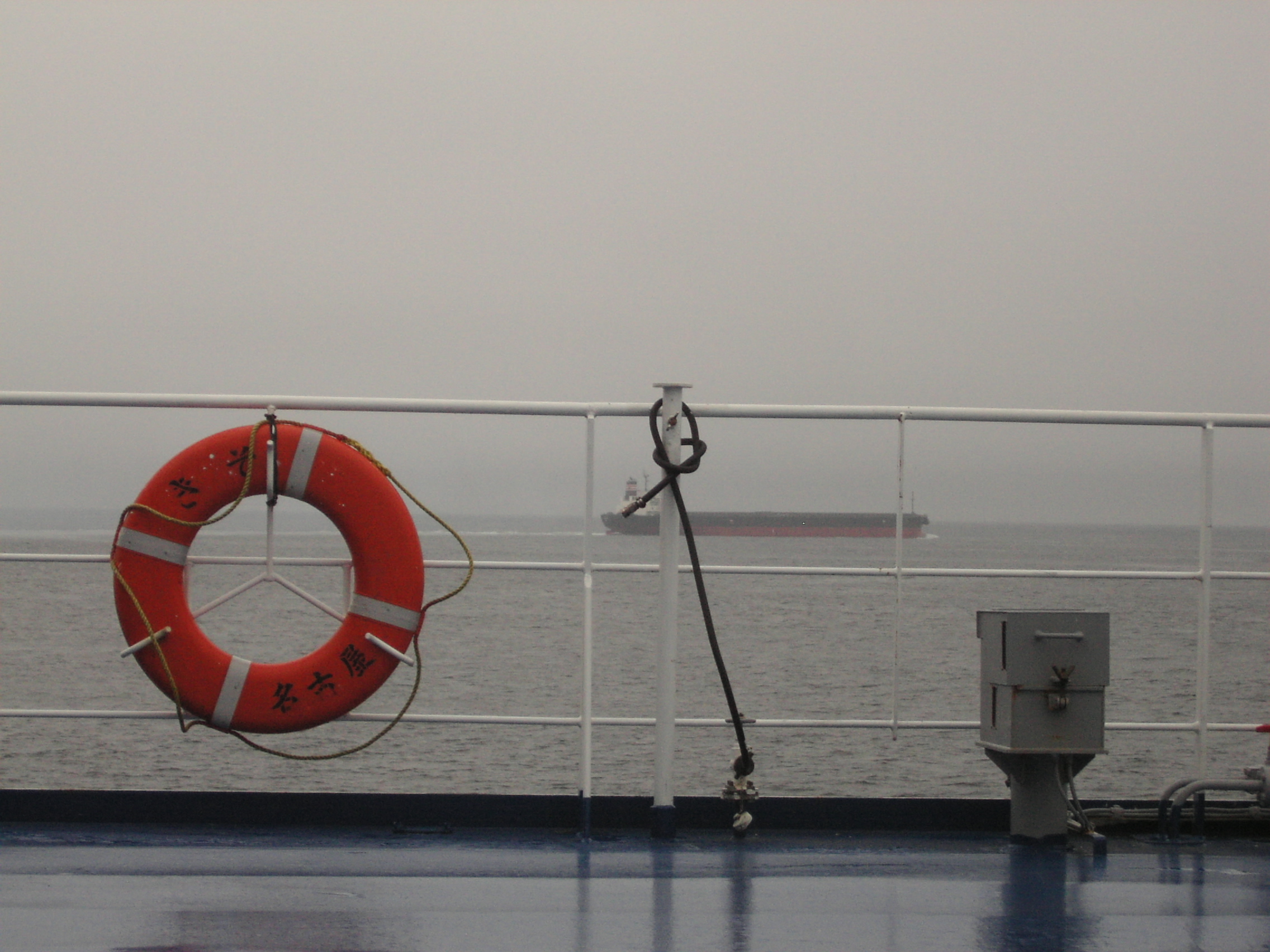 Oceano Pacifico Foto Fementido