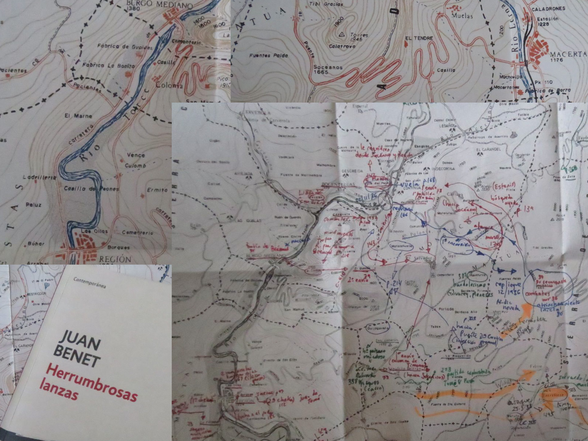 lecturas fementido 2016