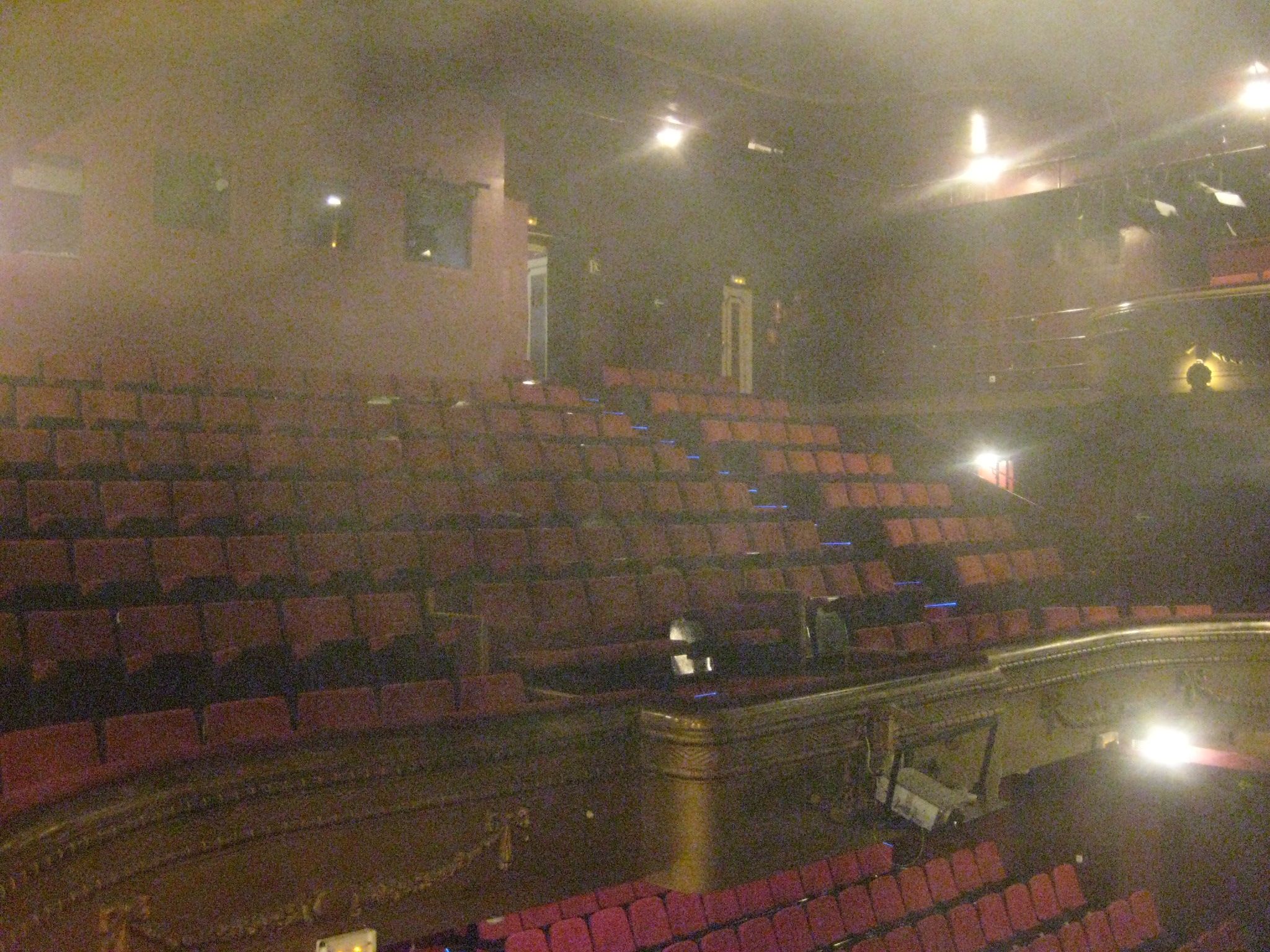 sunlight after fementido