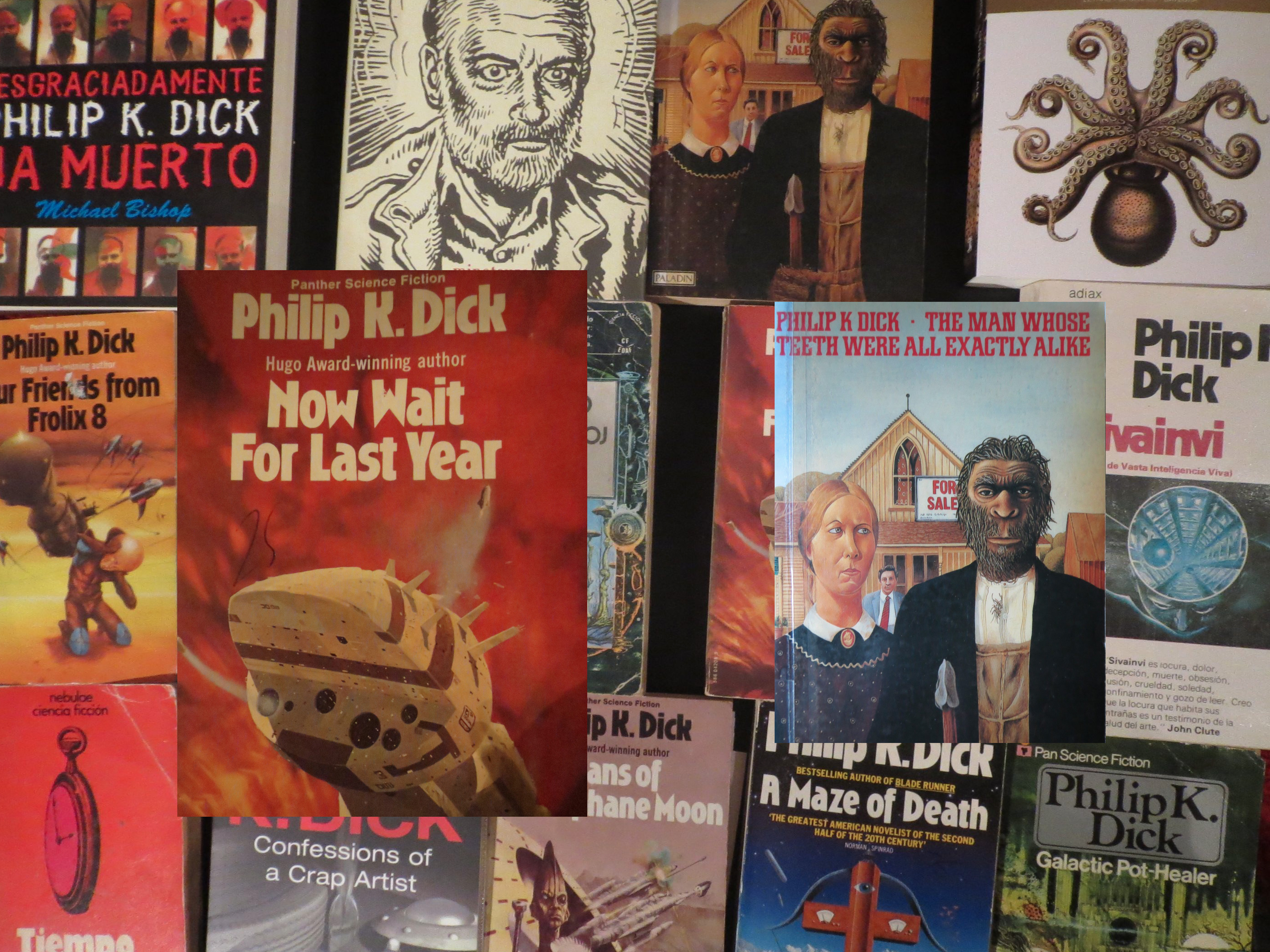 lecturas fementido 2016