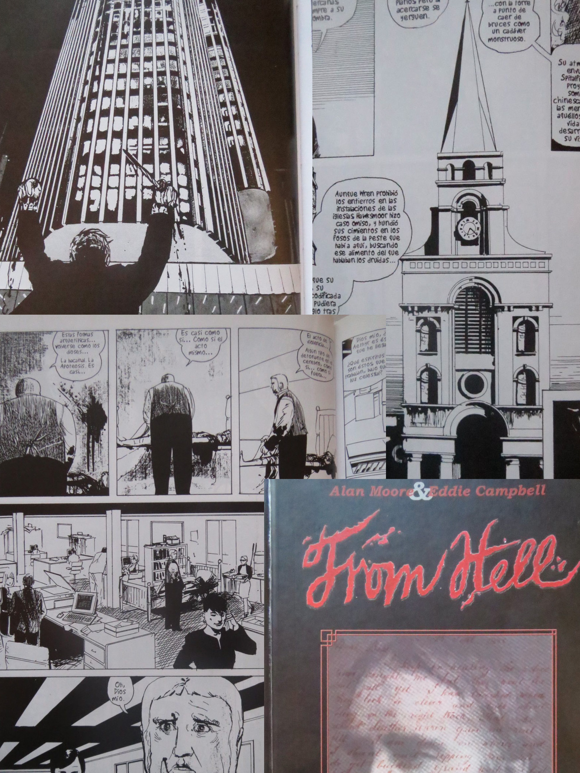 lecturas fementido 2016