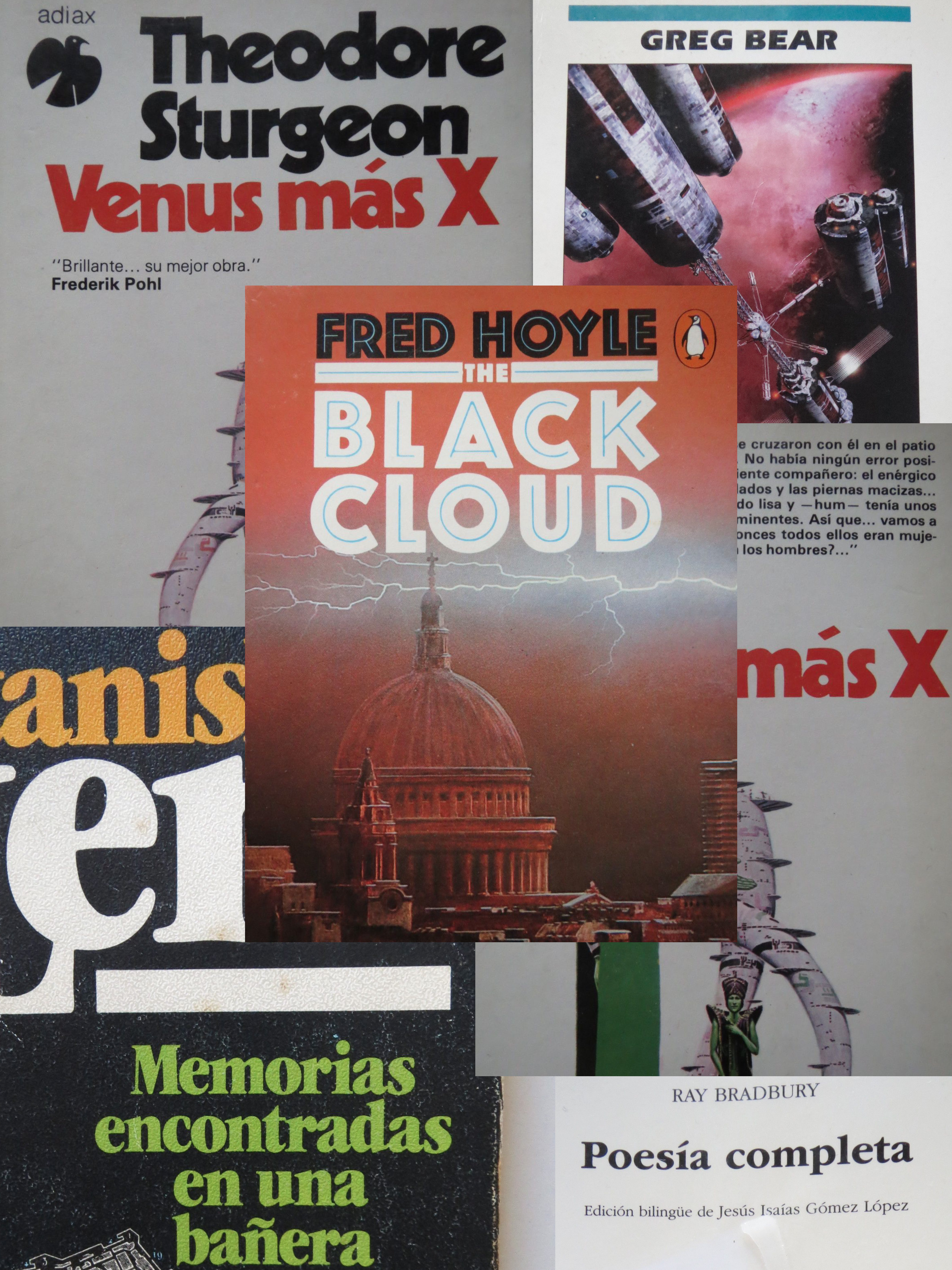 lecturas fementido 2016