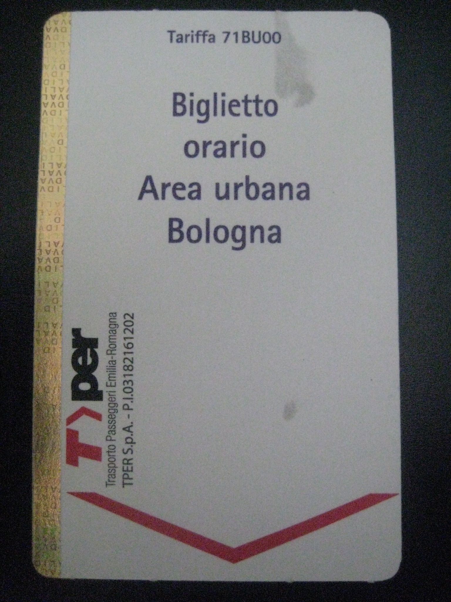 bologna by fementido
